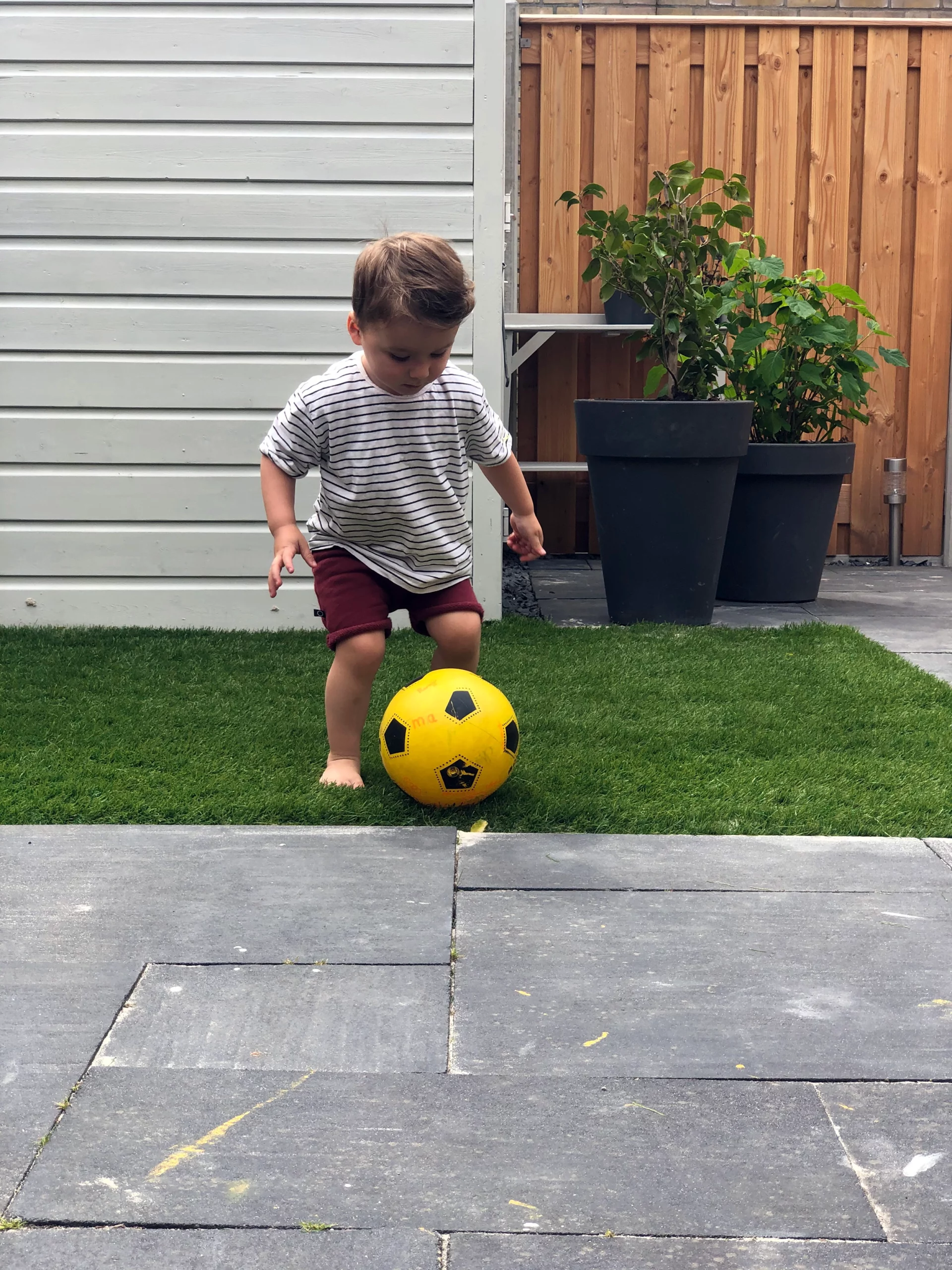 kunstgras luxe - Afbeelding 3