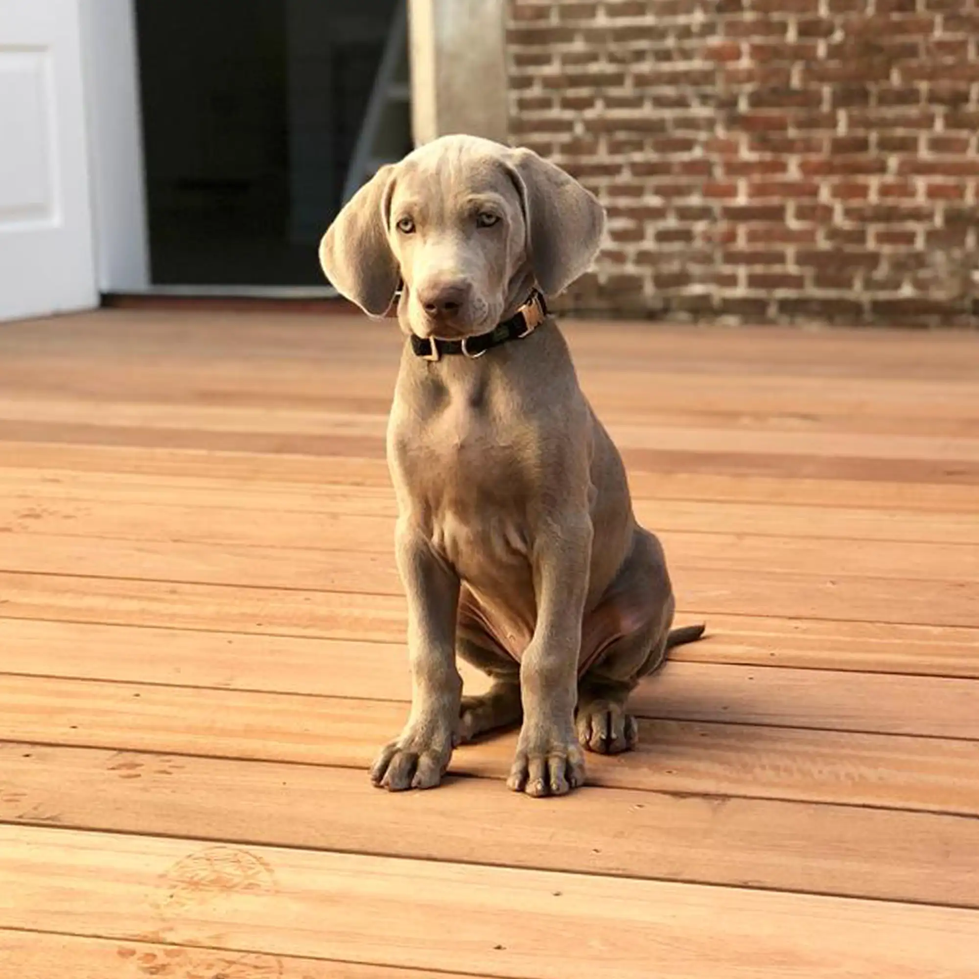 waterbergend dakterras vlonder hout luxe