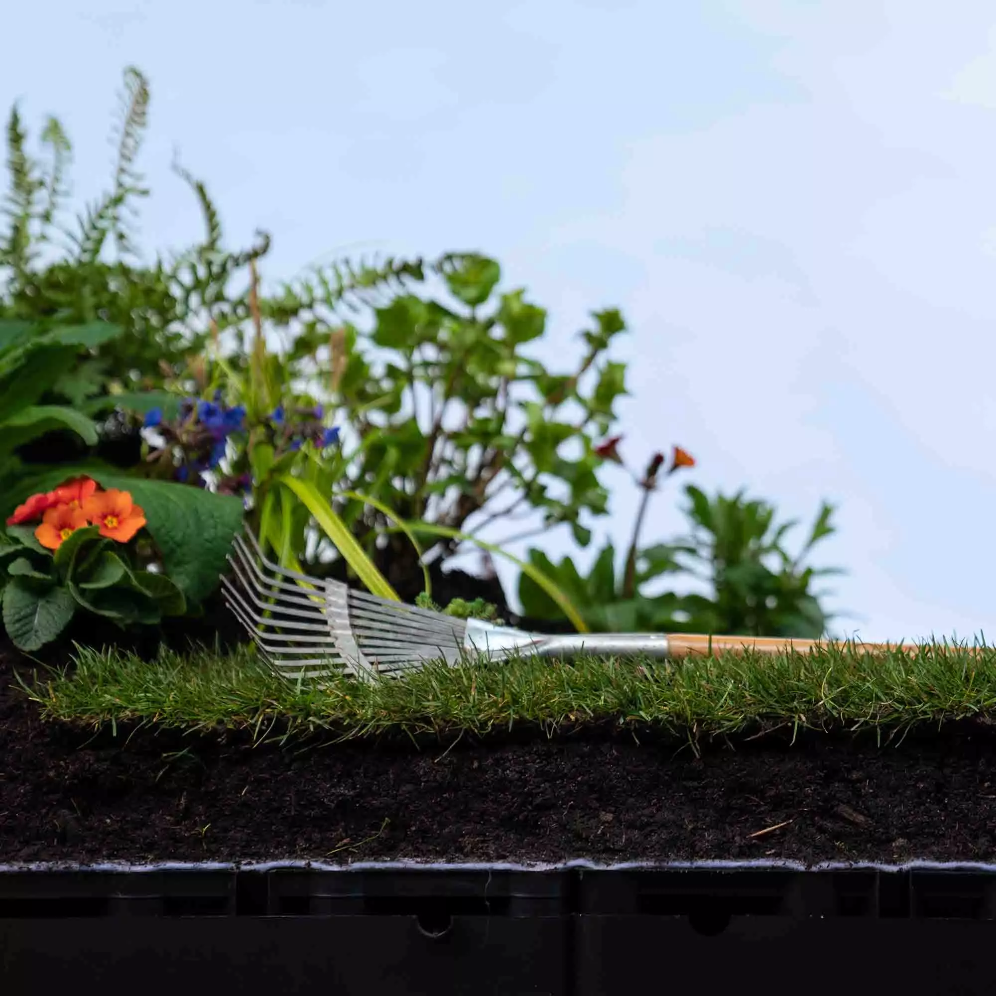 rainup blauw-groen dak (80 l/m²) - Afbeelding 2