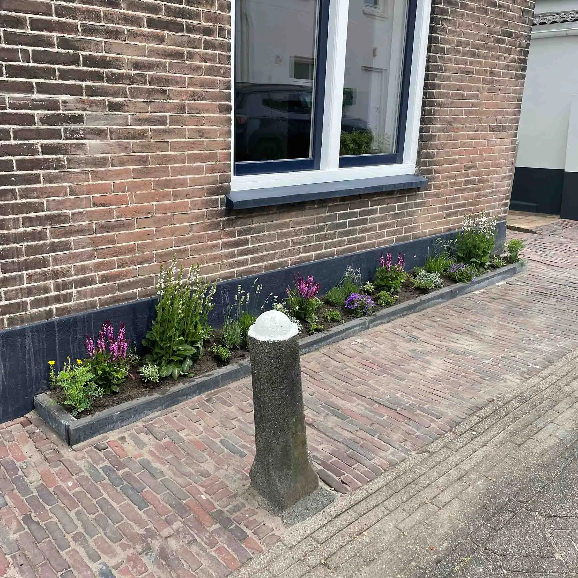 rainup blauw-groen (80 l/m²) geveltuin - Afbeelding 5