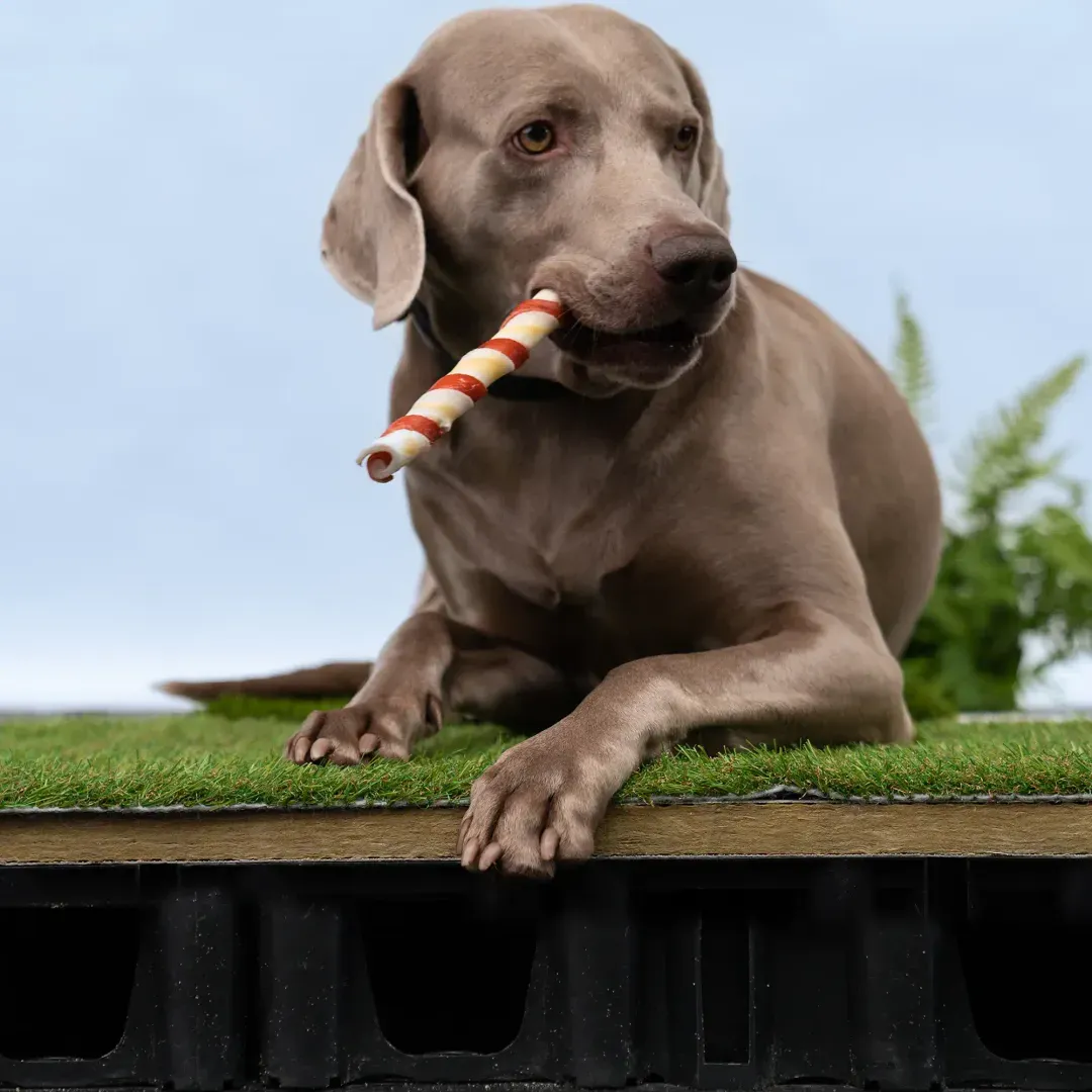 koelende playground dak 100mm wateropslag