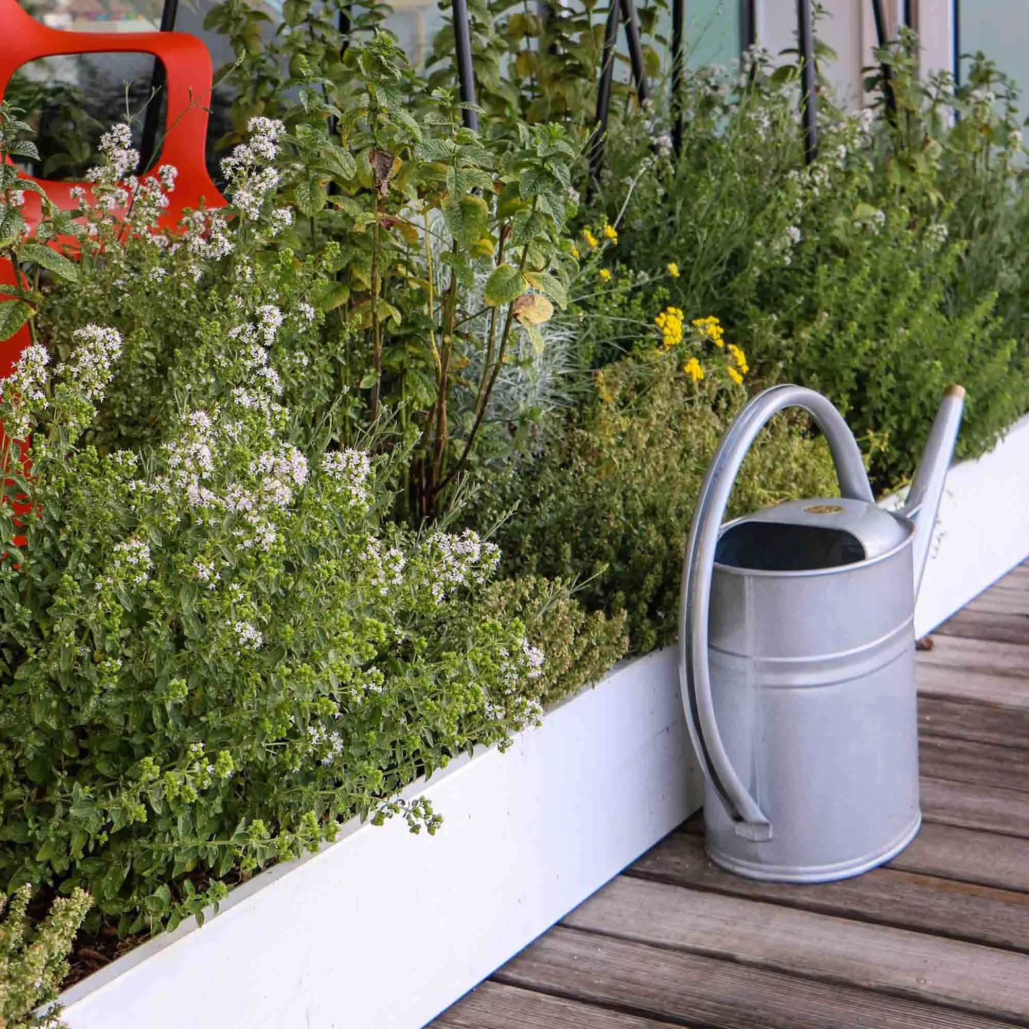 blauw-groen planten element balkon