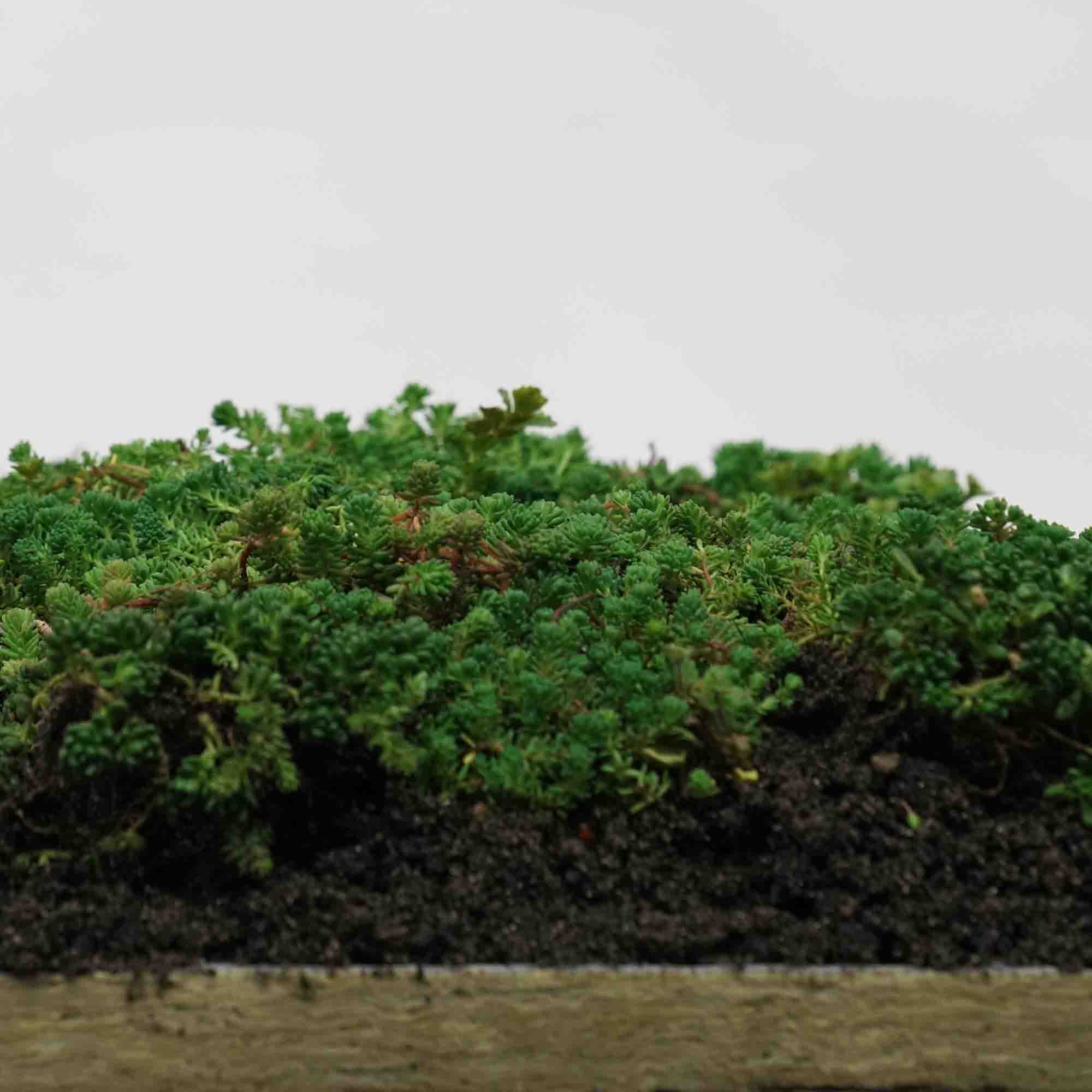 bluelay waterdragende laag 27 l/m² - Afbeelding 2