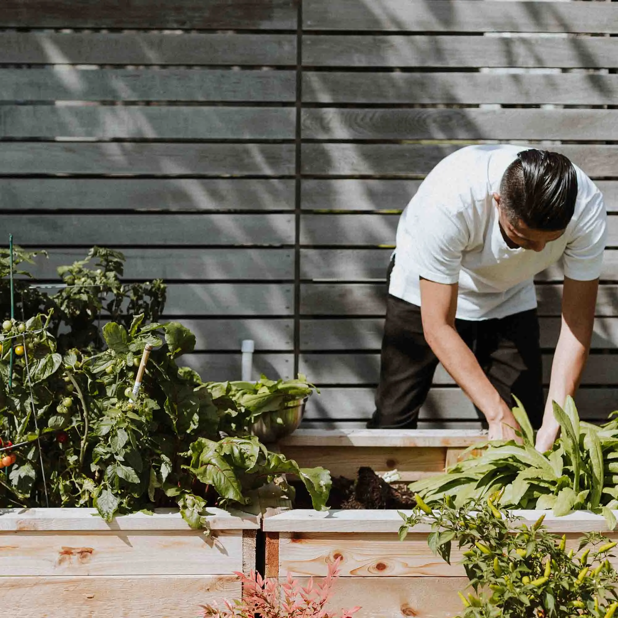 rainup blauw-groen portable moestuin