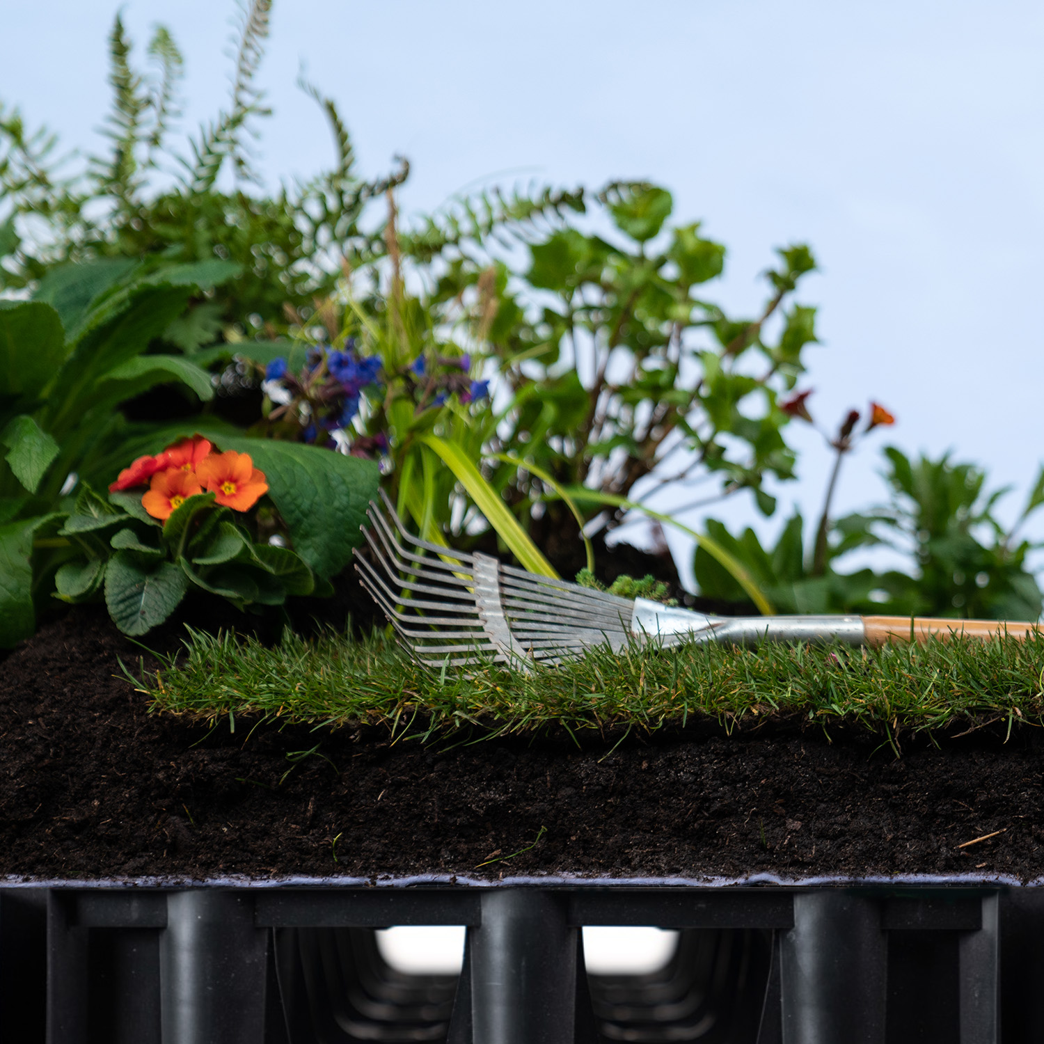 rainup blauw-groen (80 l/m²) geveltuin - Afbeelding 2