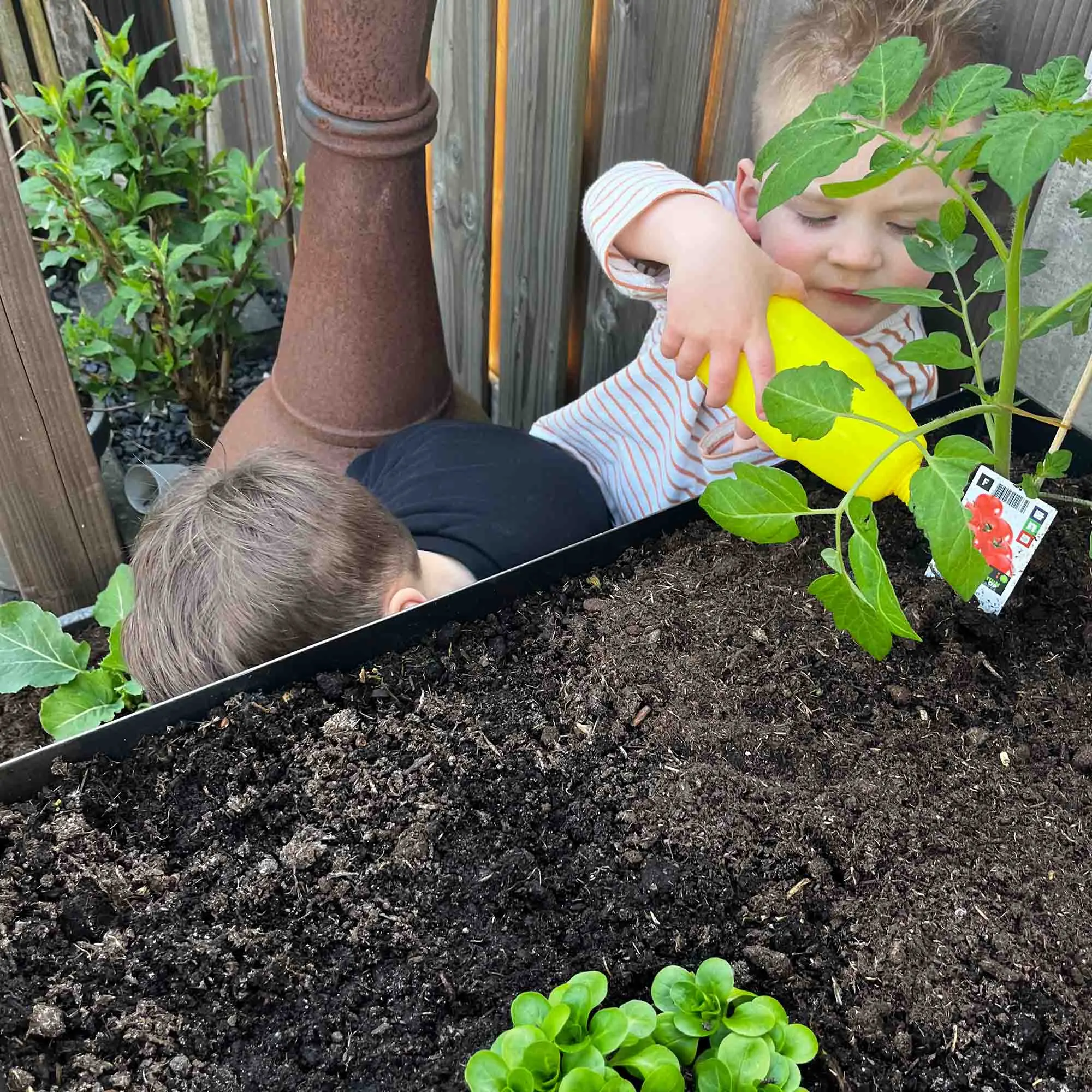 portable moestuin (27 l/m²)