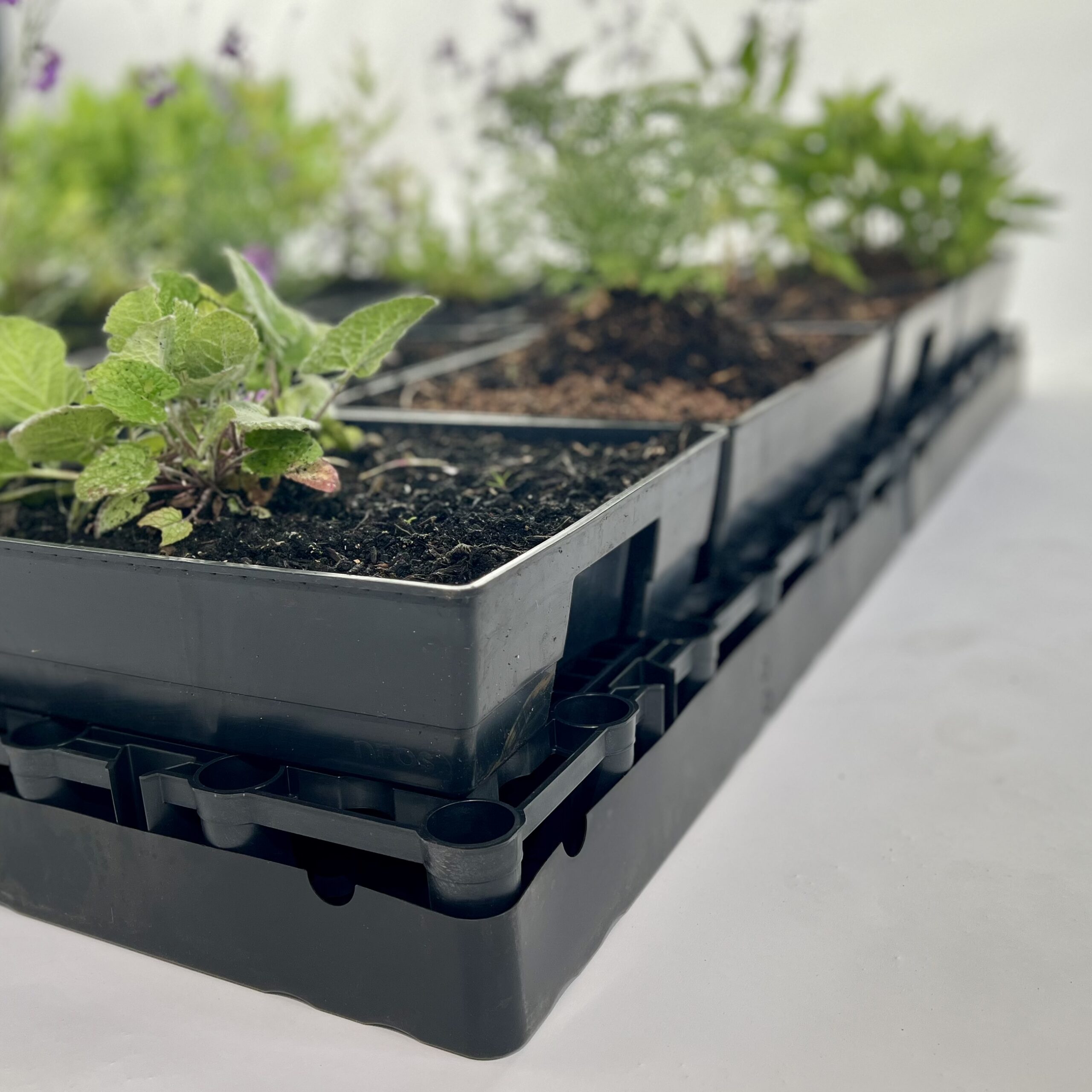 rainup x leaf blauw-groen systeem (80 l/m²) met tray (excl. plant)